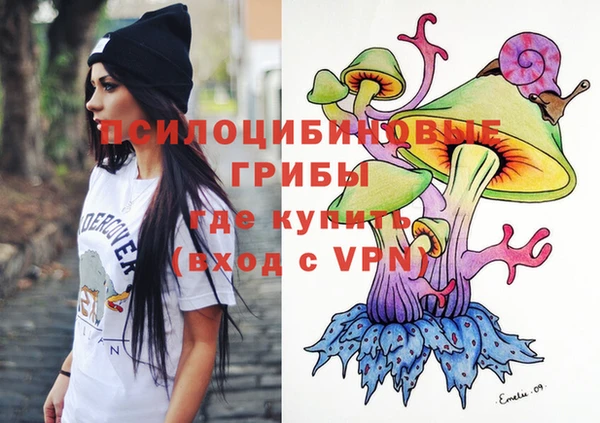 mdpv Белокуриха