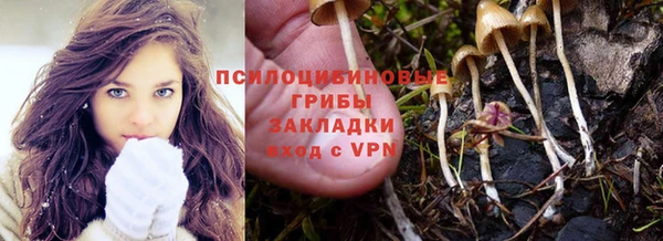 mdpv Белокуриха