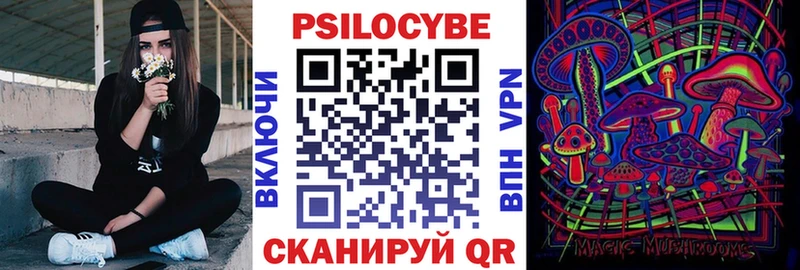 Псилоцибиновые грибы Psilocybe Пионерский